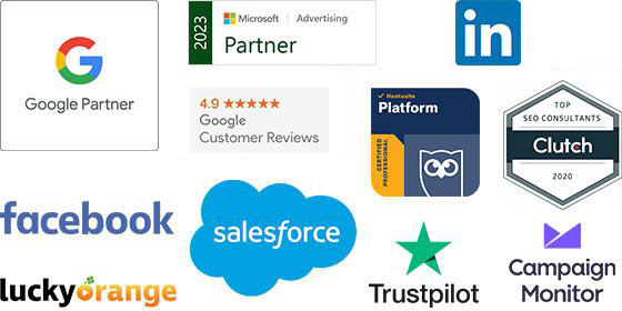 France Ligue 1 Results